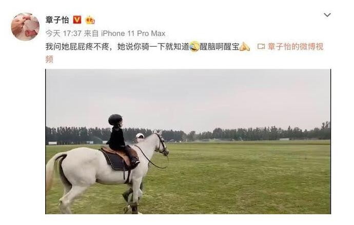 章子怡带5岁女儿骑马 全副武装骑着白马可爱超萌