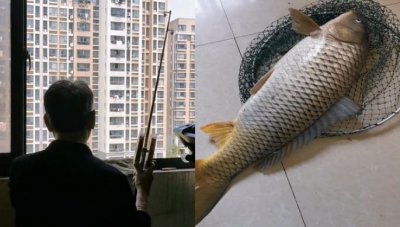 上海大爷在江景房阳台钓到8斤大鱼 网友：论买江景房的好处