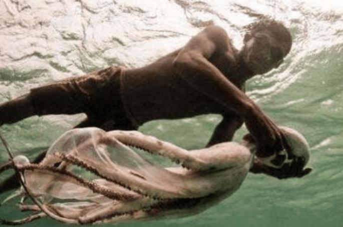 印尼章鱼人求救图片